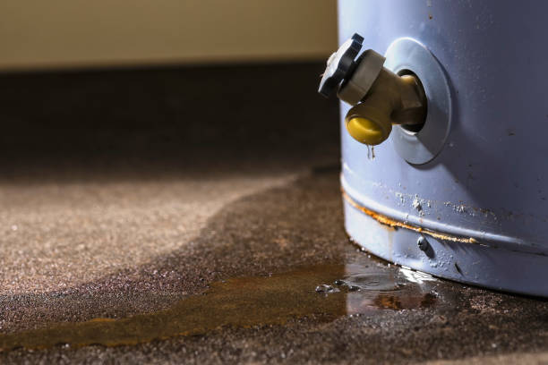 Best Mold removal after water damage  in Philadelphia, MS