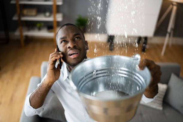 Best Water damage restoration specialists  in Philadelphia, MS