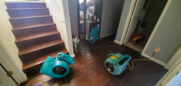 Best 24-hour water damage restoration  in Philadelphia, MS