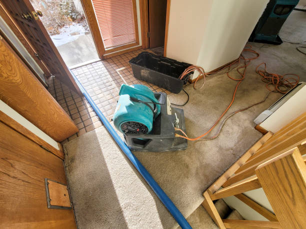 Best Water damage restoration near me  in Philadelphia, MS
