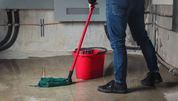 Best Water damage restoration near me  in Philadelphia, MS