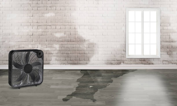 Best Fire Damage Restoration  in Philadelphia, MS
