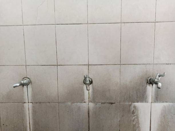 Best Water damage repair service  in Philadelphia, MS