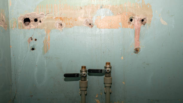 Best Water damage contractors near me  in Philadelphia, MS
