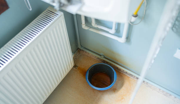 Best Professional water damage repair  in Philadelphia, MS