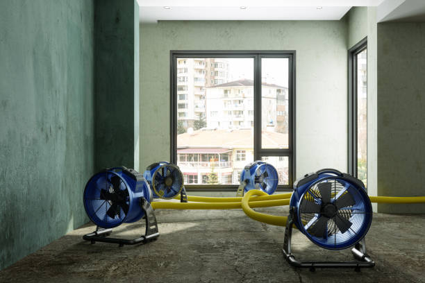  Philadelphia, MS Water damage restoration Pros