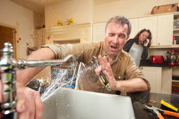 Best Water damage cleanup near me  in Philadelphia, MS